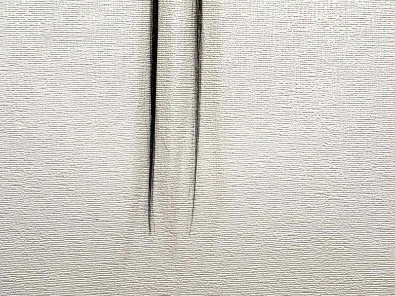 唯一無二の、毛先の厚み